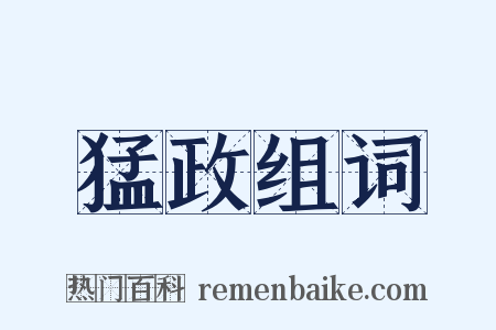 猛政组词是什么意思的图片